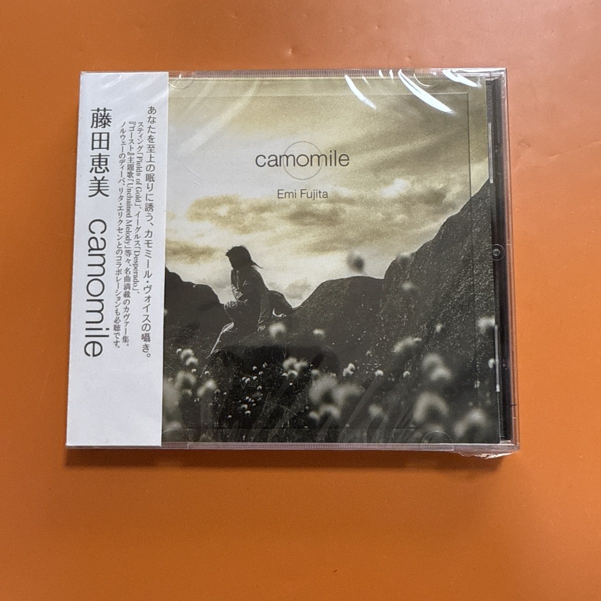 Musical Instrument In Japanese - CD di folk pop giapponese dal