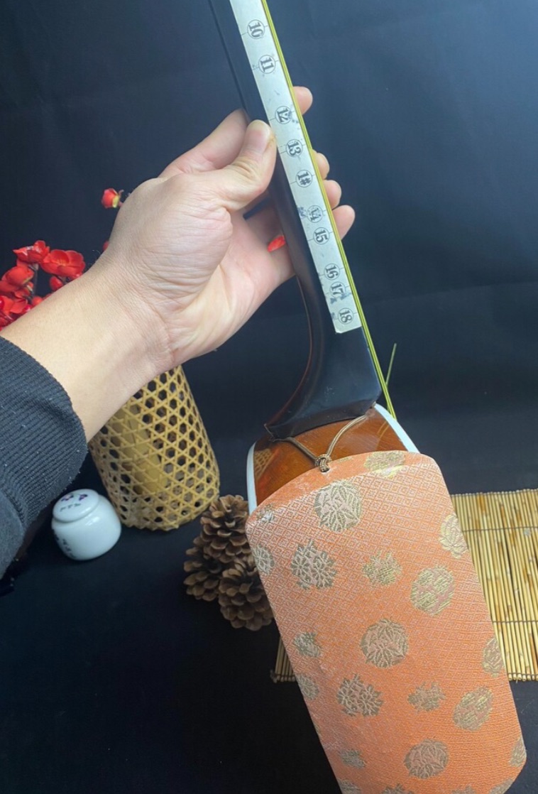 Shamisen, strumento musicale t - Musical Instrument In Japanese recensione e prezzo