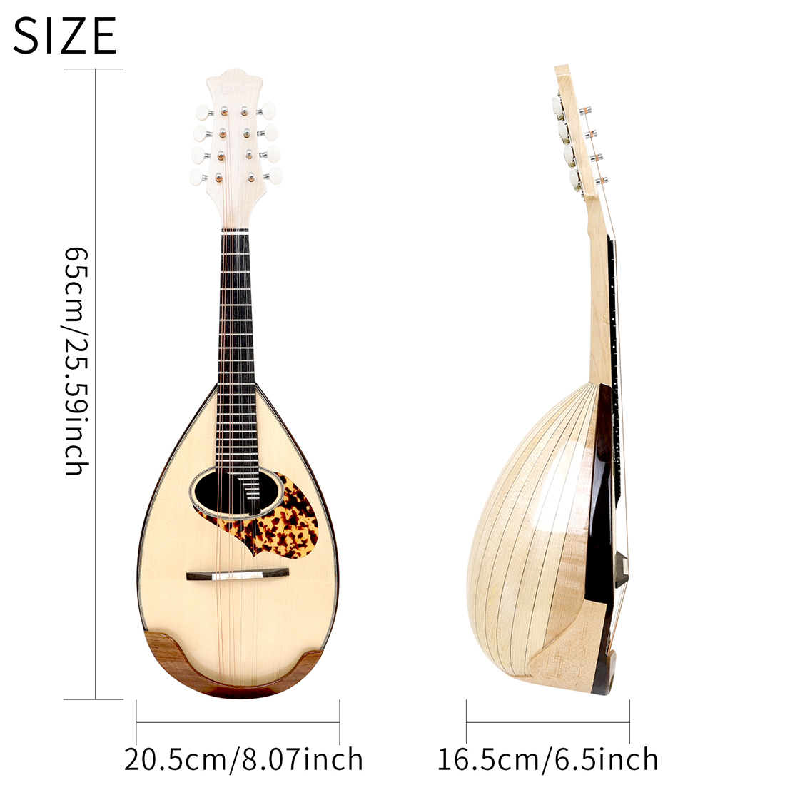 IRIN MD-60 Mandolino Giappones - Musical Instrument In Japanese recensione e prezzo